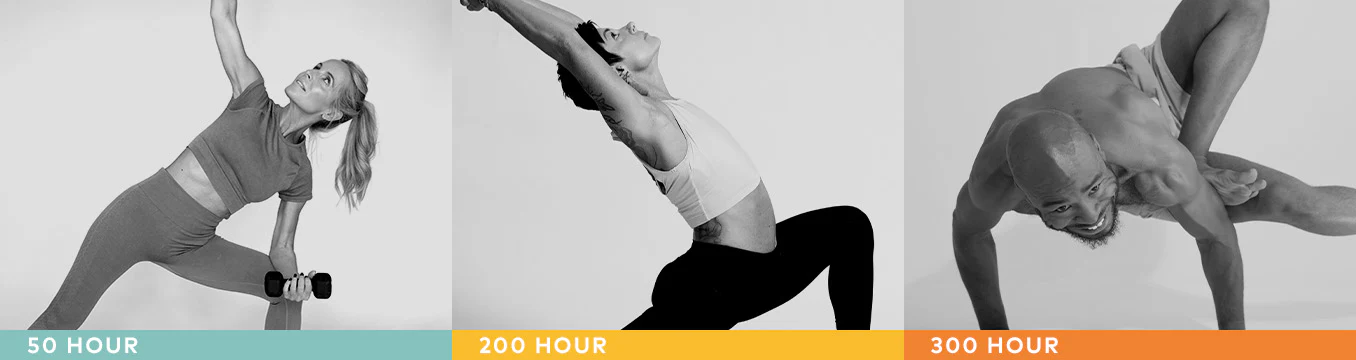 Elevate Your Practice Today